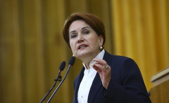 Akşener, Şanlıurfa'nın sorunlarını grup toplantısında açıkladı