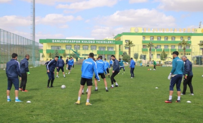 Şanlıurfaspor'da galibiyet hesapları