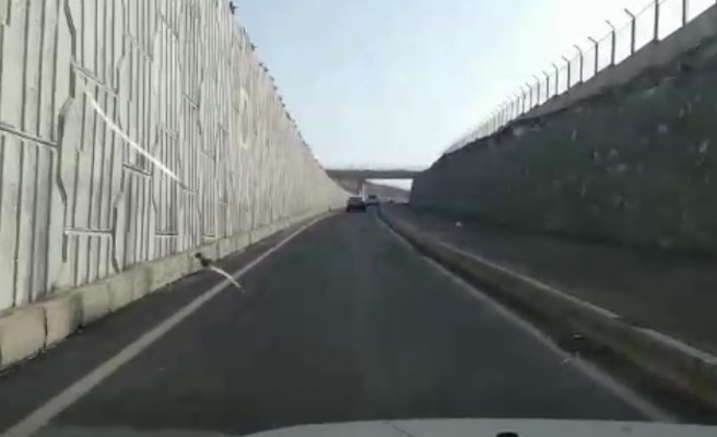 Şanlıurfa’da tepki çeken köprülü kavşak projesi