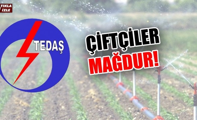 Mağdur olan çiftçi TEDAŞ'tan çözüm bekliyor