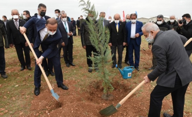Şanlıurfa’da fidanlar toprakla buluştu