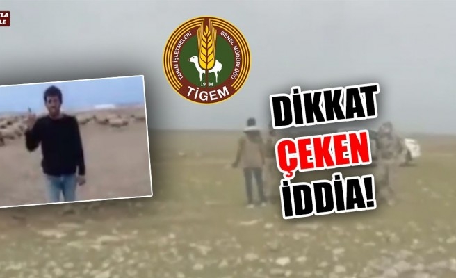 CHP'li vekil TİGEM'e karşı çobanları savundu