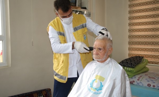 Haliliye’de yaşlı çınarlara destek sağlanıyor