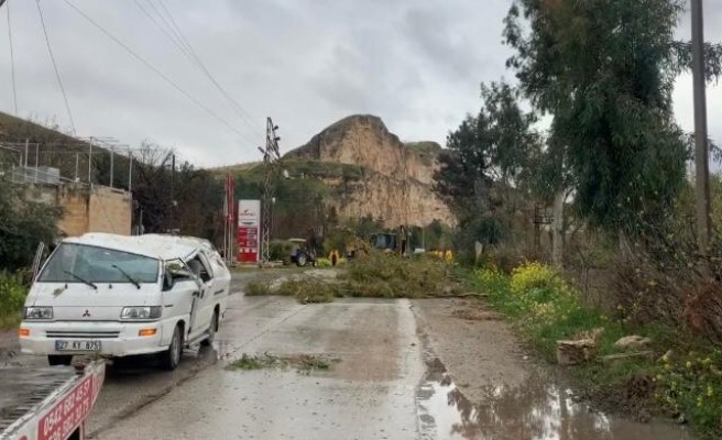 Birecik’te ağaçlar araçların üzerine devrildi