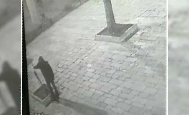 Ulu Cami'de şimdi de ağaçları kestiler