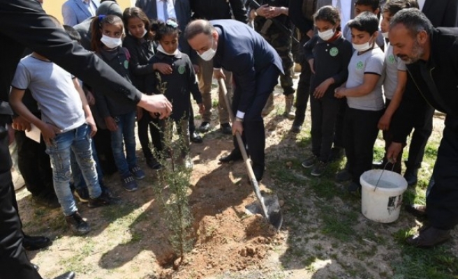 Barış Pınarı’nda çalışmalar sürüyor