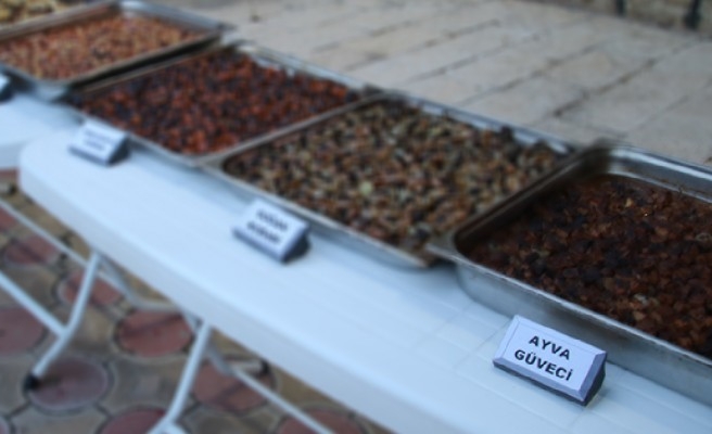 Halfeti'de Meyve Yemekleri Buluşması düzenleniyor