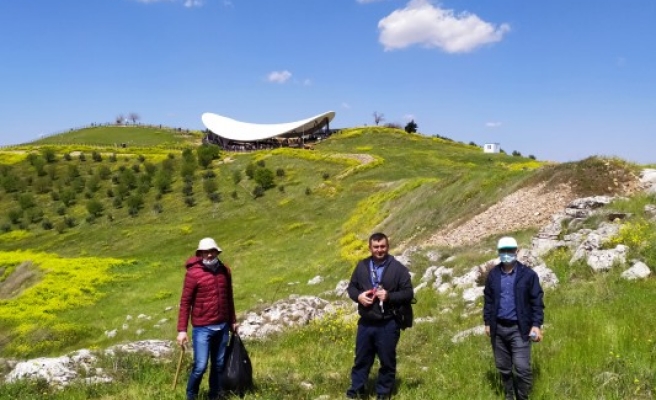 Göbeklitepe’nin yabani çiçeklerinin araştırılmasına başlandı