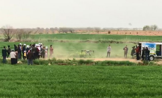 Şanlıurfa’da tarlalar drone ile ilaçlandı