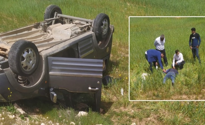 Harran’da araç şarampole devrildi