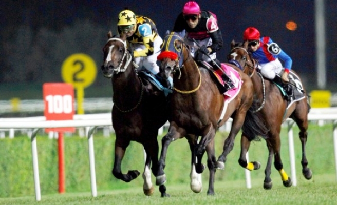 Şanlıurfa’da ilkbahar-yaz sezonu başlıyor