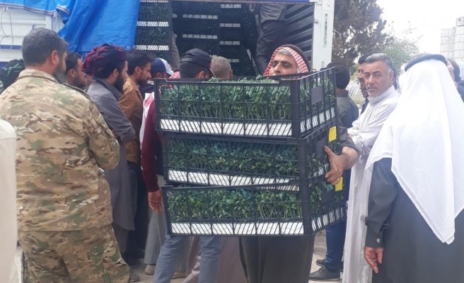 Barış Pınarında tarımsal çeşitlilik destekleniyor