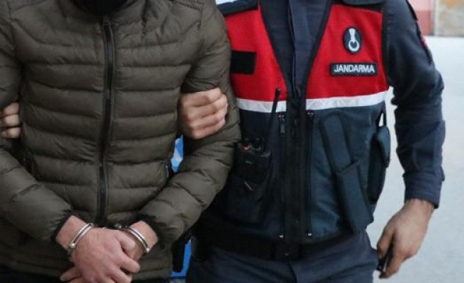 Şanlıurfa'da PKK/YPG operasyonu:1 gözaltı