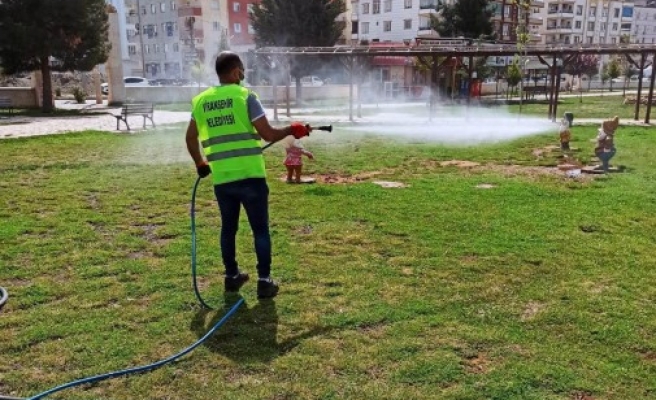 Viranşehir'de haşerelerle mücadele sürüyor