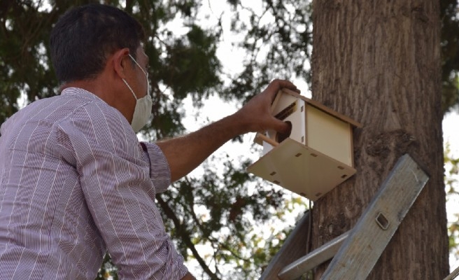 Viranşehir'de parklara kuş yuvaları yerleştirildi