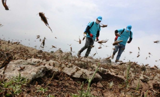 Suriye'deki istila Urfa'da tedirginlik yarattı!