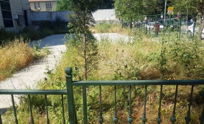 Şanlıurfa'daki kurumun bahçesinde dikkat çeken görüntü