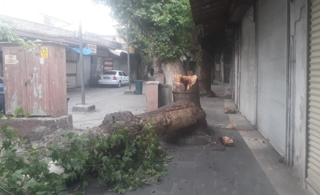 Urfa'da baharda kenti fırtına vurdu!