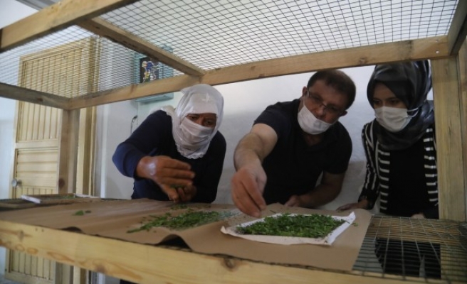 İpekböcekçiliği çiftçilerine eğitim desteği