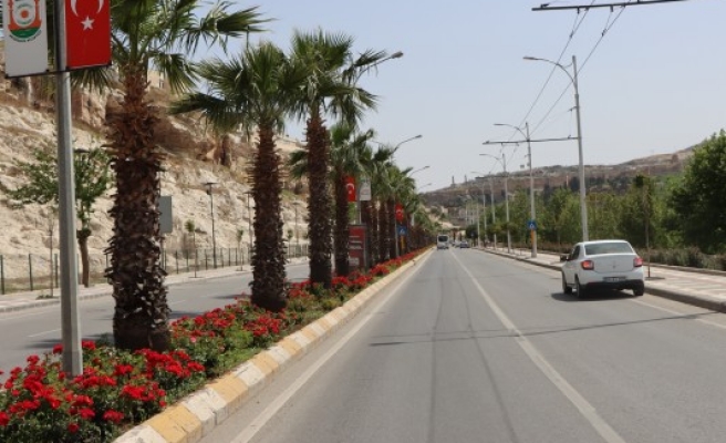 Şanlıurfa'da cadde ve sokaklarda görsel şölen