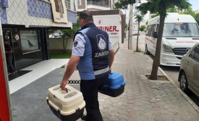 Zabıta ekipleri vatandaşların imdadına yetişiyor