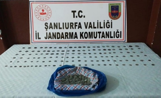 Şanlıurfa'da yüzlerce tarihi sikke ele geçirildi