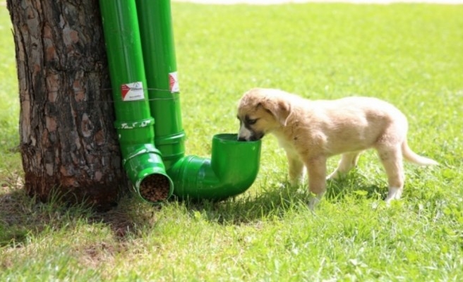 Karaköprü Belediyesi sokaktaki canları unutmadı