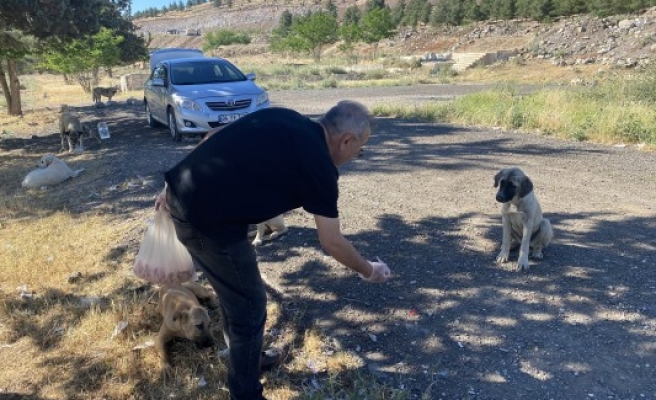 Böyle hayvan sevgisi görülmedi