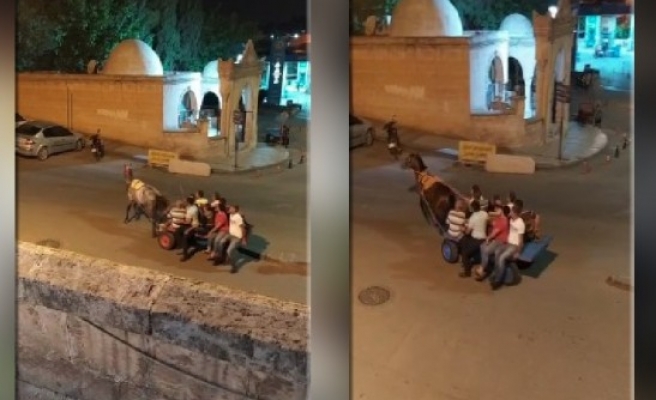 Urfa'da hayvana eziyet saniye saniye görüntülendi!