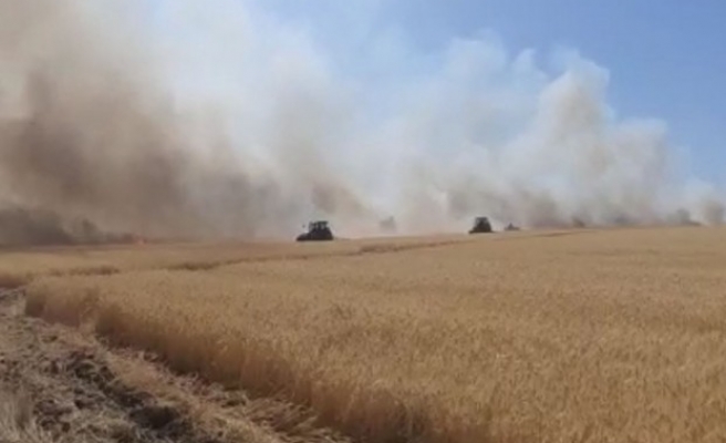 Buğday tarlasında korkutan yangın