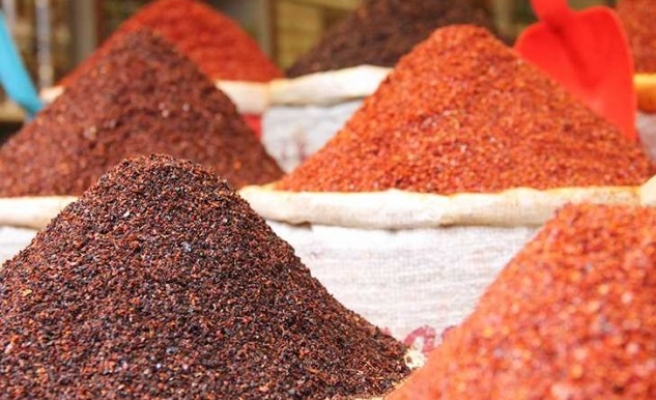 Pul biber üretimi yapacak girişimcilere hibe müjdesi