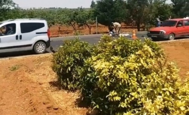 Otomobil sürücüsü adliyeye sevk edildi