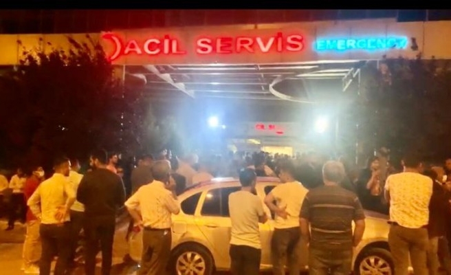 Şanlıurfa'da iki kardeş kazada can verdi