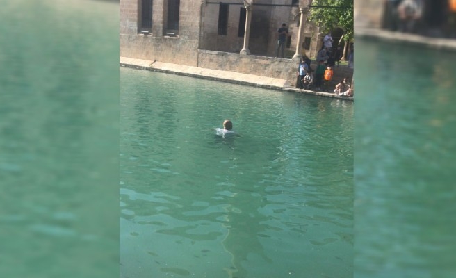 Balıklıgöl'e atladı, görenler şaşkına uğradı