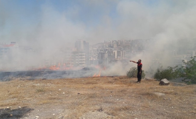 Şanlıurfa'da anız yangını!