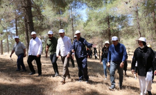 AK Parti İl Teşkilatı’ndan Dünya Çevre Günü etkinliği