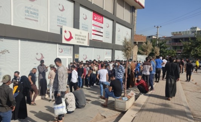 Şanlıurfa’da ürküten kuyruk!