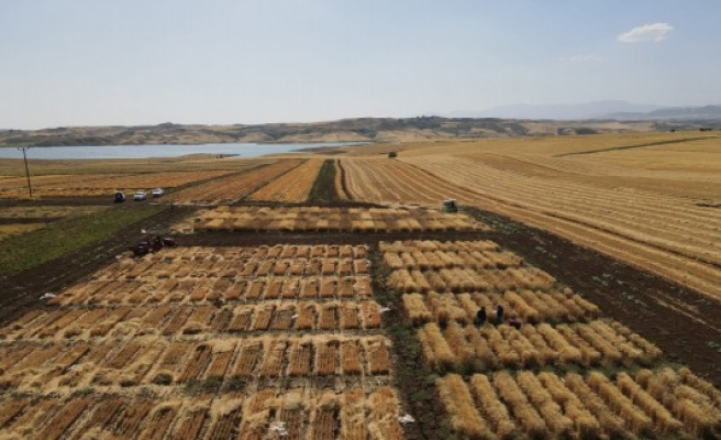 HRÜ'de ürün geliştirme çalışmaları