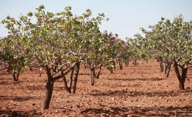 Şanlıurfa 5’inci sırada yer aldı!