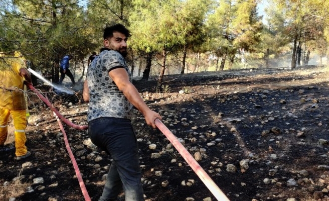 Göbeklitepe yakınında orman yangını