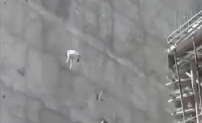 Suruç'ta köpek 7. kattan aşağı atıldı