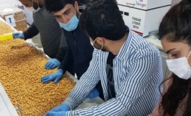 HRÜ’de Gen Bankası oluşturuldu