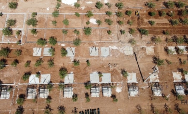 Yaşlı çınarlar için ‘hobi evleri’ yapılıyor