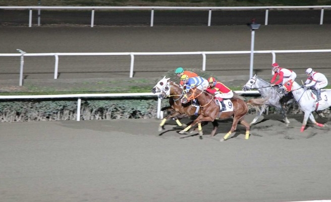 Şanlıurfalı jokey koşu yarışında birinci oldu