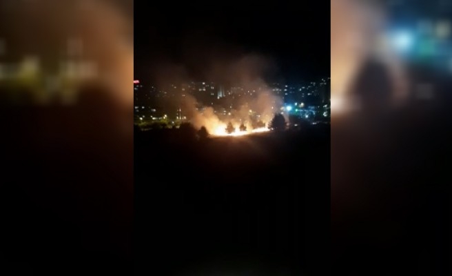 Şanlıurfa'da ormanda yangın!