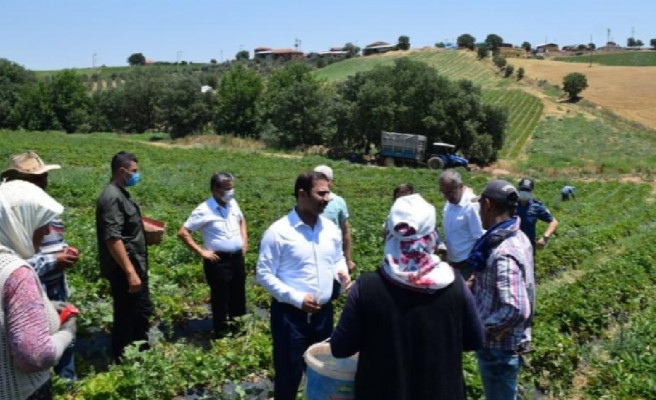 Mevsimlik işçilerin sorununa Urfalı kaymakamdan çözüm