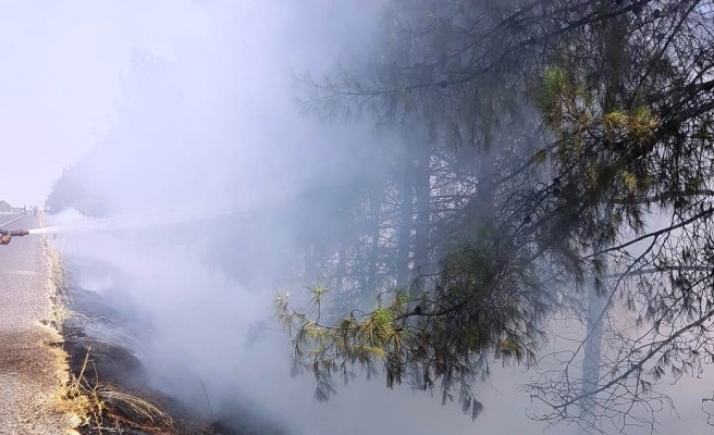 Ağaçlık alanda yangın çıktı!