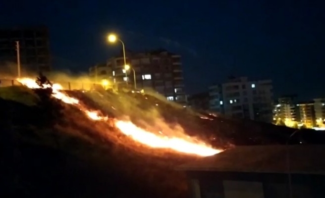 Şanlıurfa'da kuru otlar alev aldı