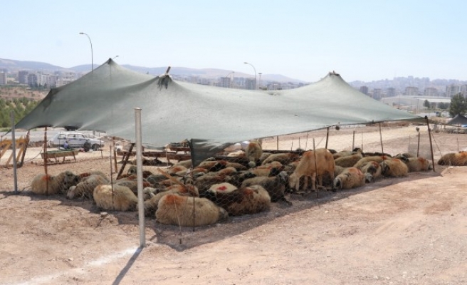 Karaköprü’de kurban satış ve kesim yerleri belirlendi