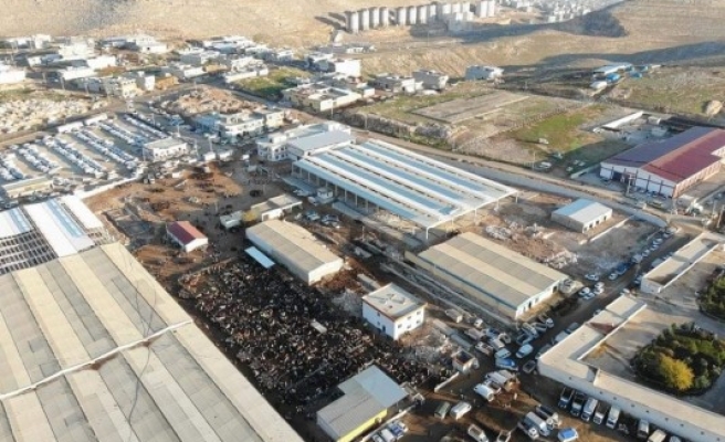 Şanlıurfa’da küçükbaş hayvan fiyatları belli oldu